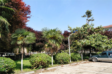 入户门改外开需要重新买门么